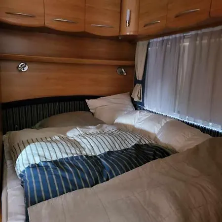 Kemp Johanna 's Have *