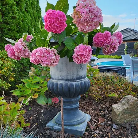 Johanna 's Have Фоборг